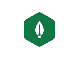 Logo Systemcap.Net